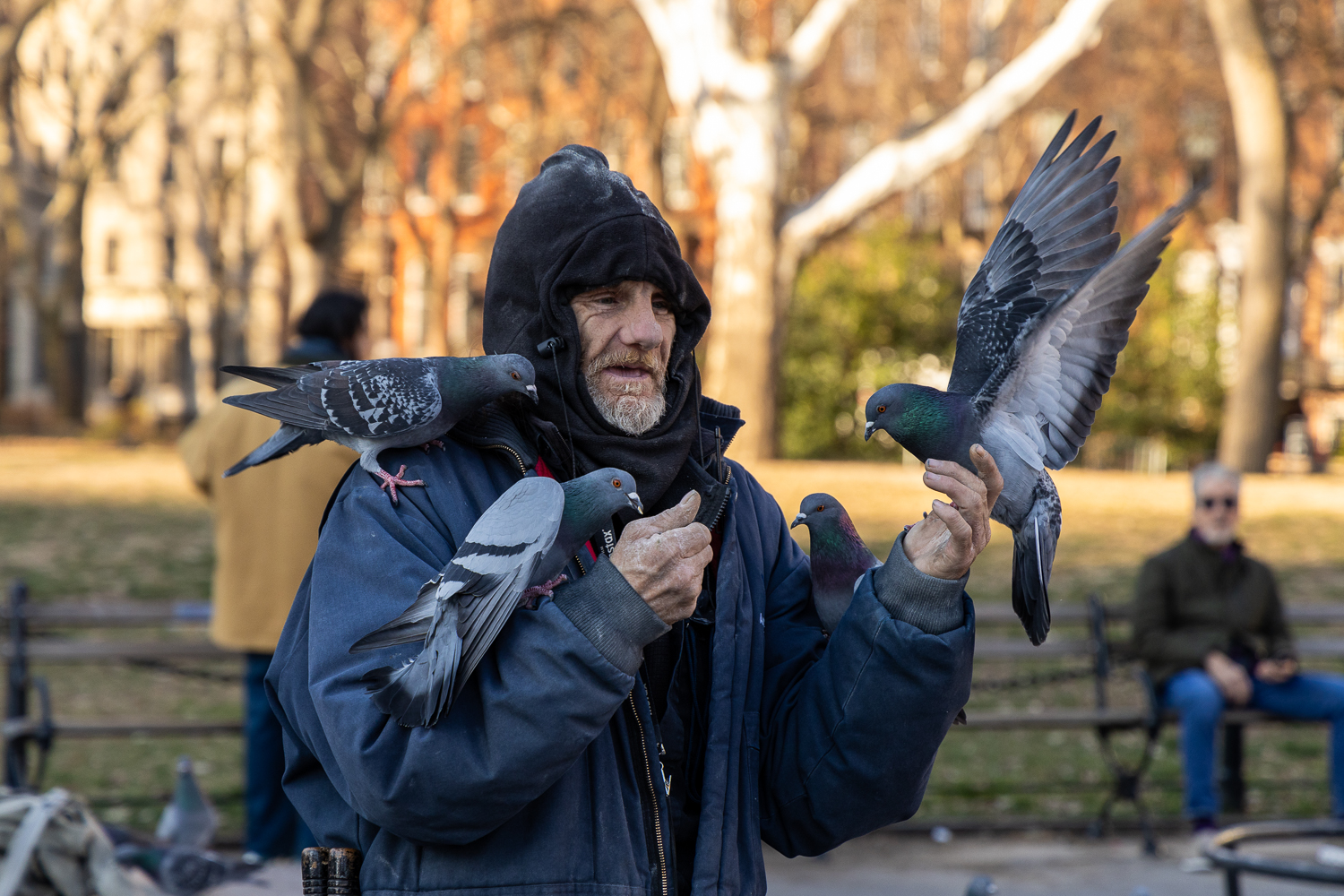 Pigeon Man in Washington Square Park